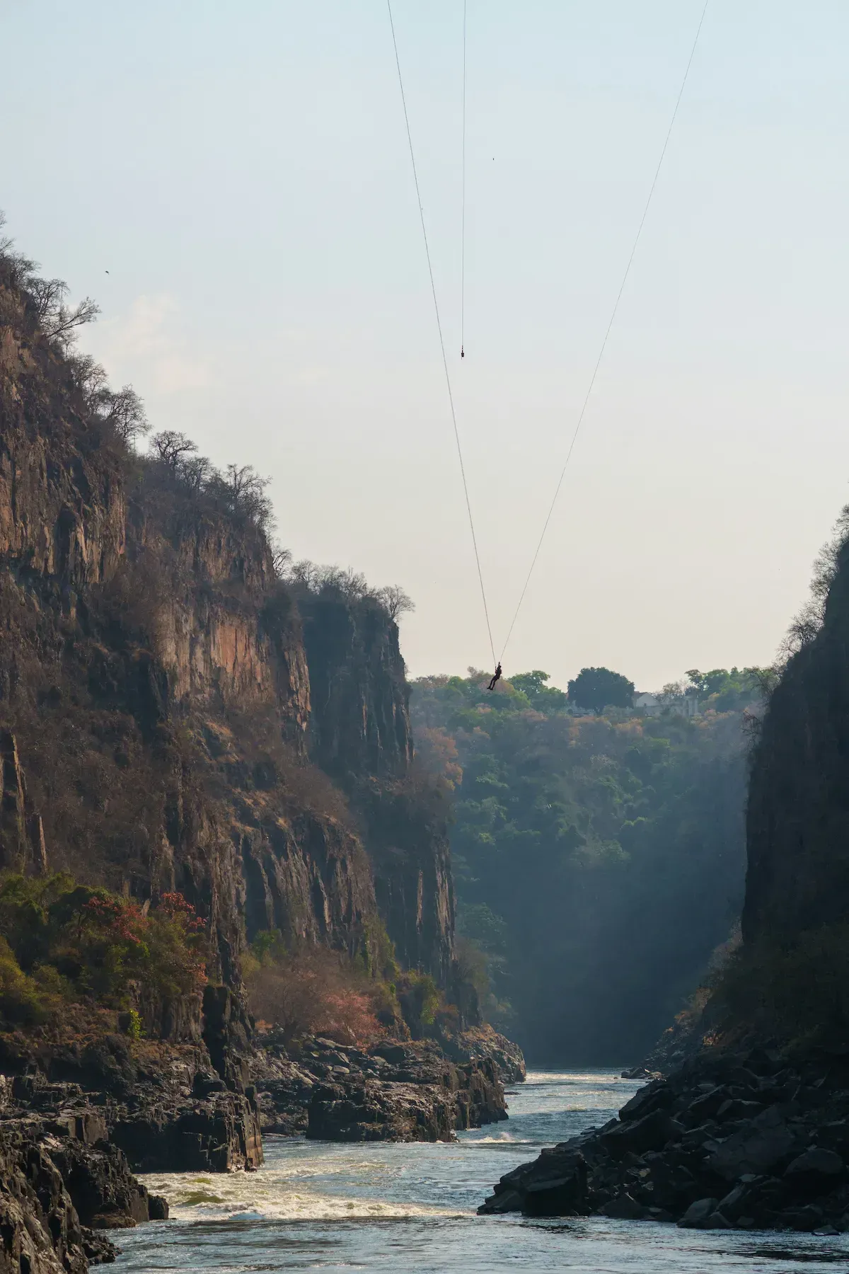 Gorge swing above the Zambezi