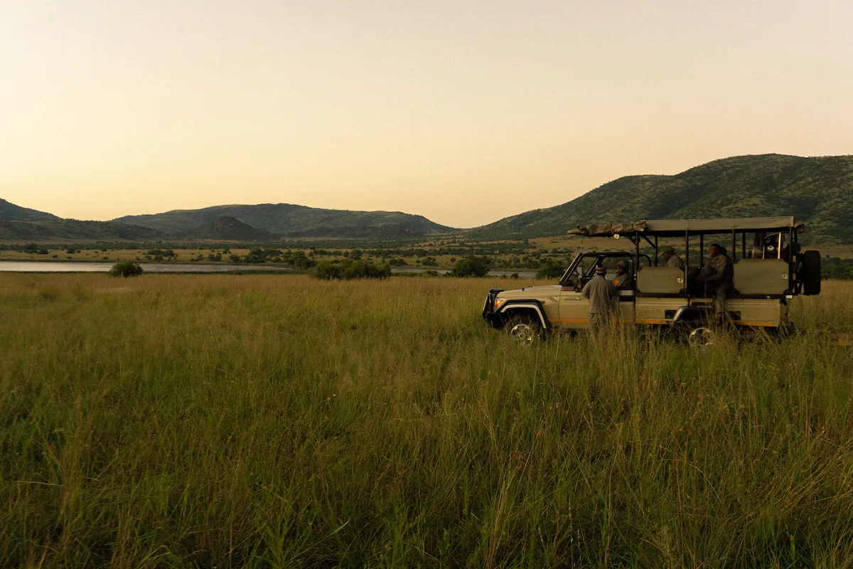 Golden hour over the savanna near Victoria Falls